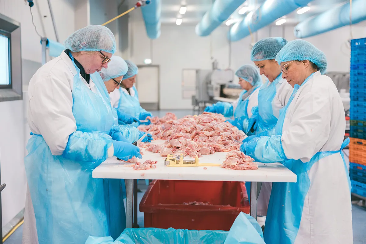 Dames snijden met de hand kipdijfilet aan de snijtafel