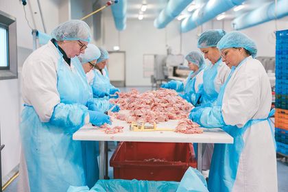 Aalt schud de had van een gekozen leverancier om afspraken te bezegelen
